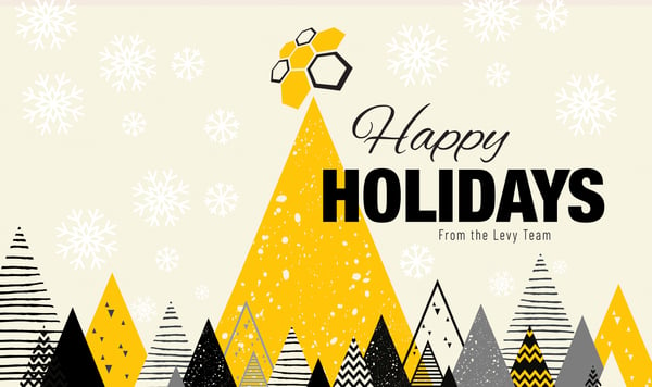 LEVY- 2021 Holiday-Cards-D